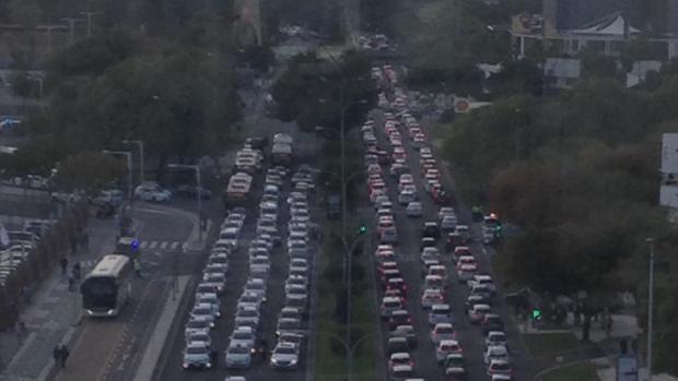 Los ganaderos del caballo de pura raza le piden a los taxistas que vayan a reivindicarle al alcalde