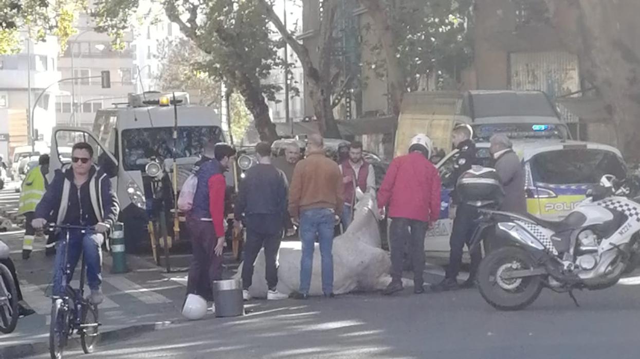 Imagen del caballo tendido en la vía de la Puerta de Carmona de Sevilla