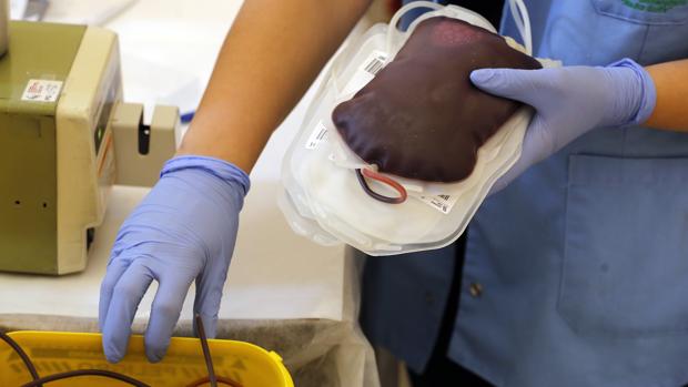 Puntos de donación de sangre esta semana en Sevilla