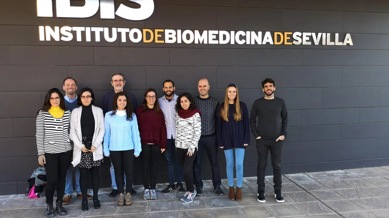 Equipo del Instituto de Biomedicina de Sevilla que ha realizado el estudio