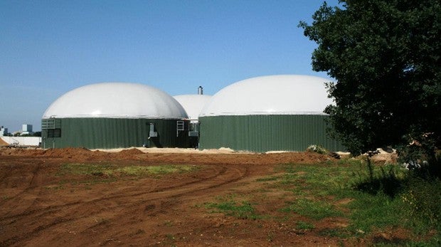 Por qué Nedgia es la empresa que lidera el impulso al gas renovable