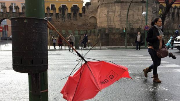 Tiempo en Sevilla: alerta amarilla por lluvias y fuertes rachas de viento