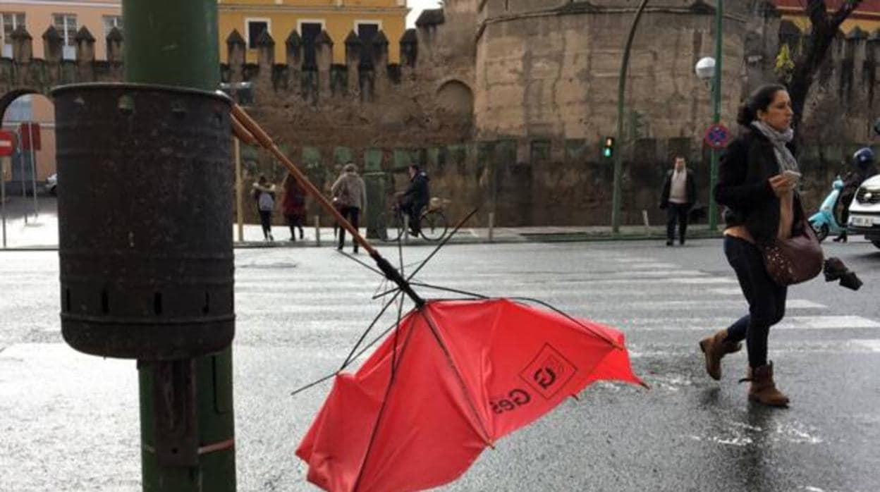 Lluvia y viento para los próximos días en Sevilla