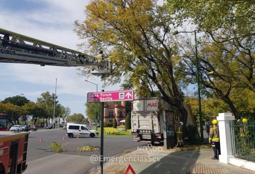 El camión atascado en la glorieta de los Marineros