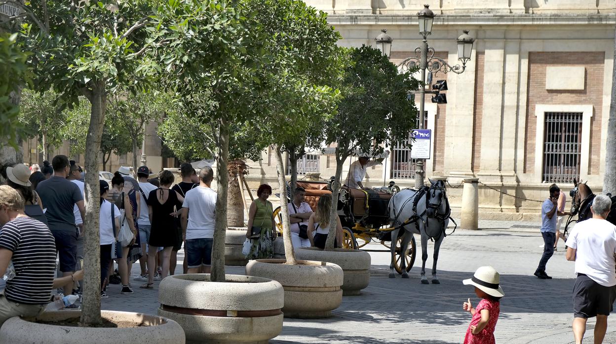 Colas de turistas en el Alcázar compartidas con la parada de los coches de caballo