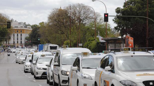 La Junta advierte a los taxistas de que está abierta al diálogo pero que «en la cúspide están los usuarios»