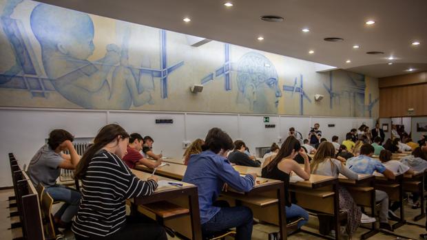 Selectividad única, una cuestión más política que académica