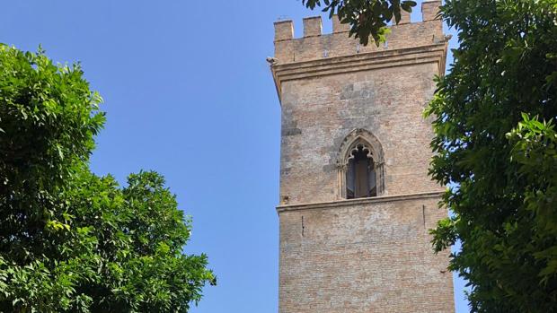 La Torre de Don Fadrique y su entorno estarán restaurados a finales de 2020