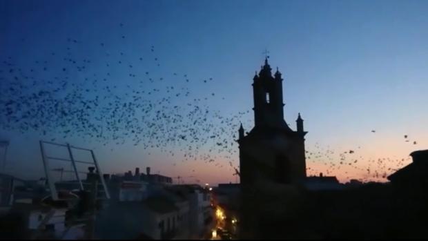 ¿Qué es lo que le quita el sueño a los vecinos de San Lorenzo?