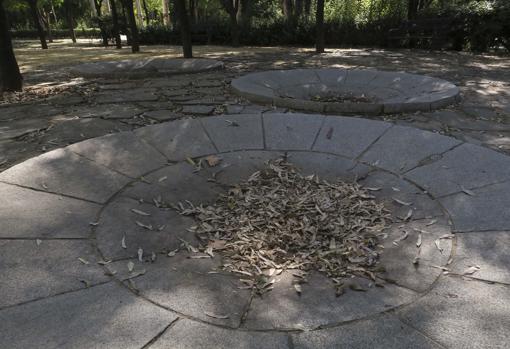 A la falta de agua se le suma la inacción en la recogida de hojas