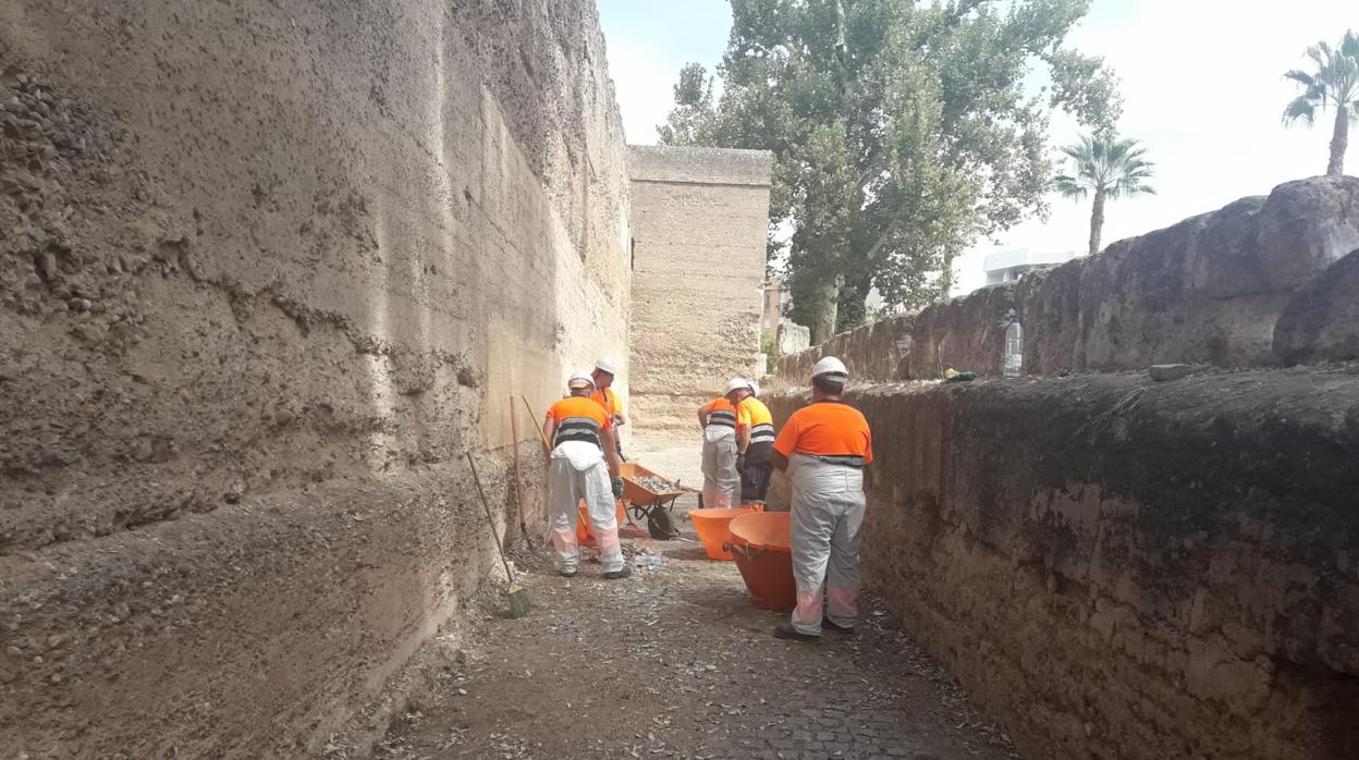Casi tres toneladas de basura se han retirado de las murallas de la Macarena