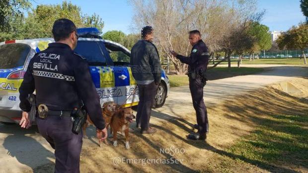 Más de 300 multas interpuestas por no recoger los excrementos caninos en la vía pública