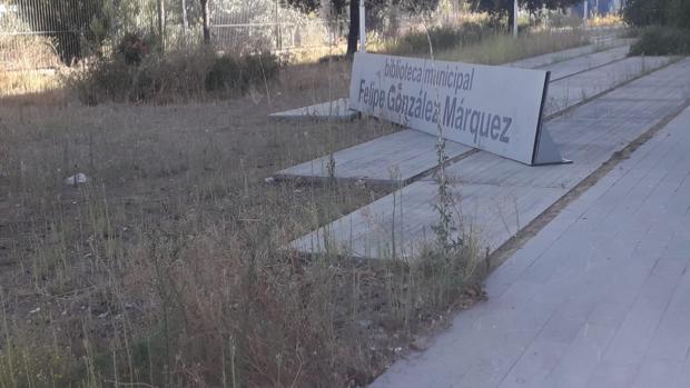 Una plaga de pulgas inunda la biblioteca Felipe González