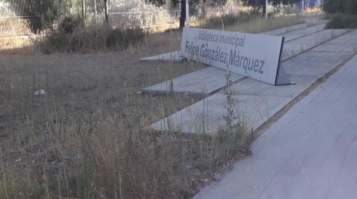 La biblioteca presenta llamativos matorrales y pulgas en sus instalaciones