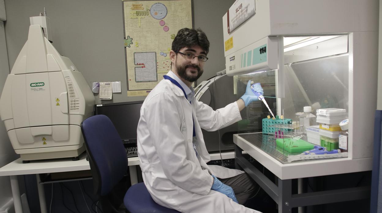 El investigador en un laboratorio del Instituto de Biomedicina de Sevilla