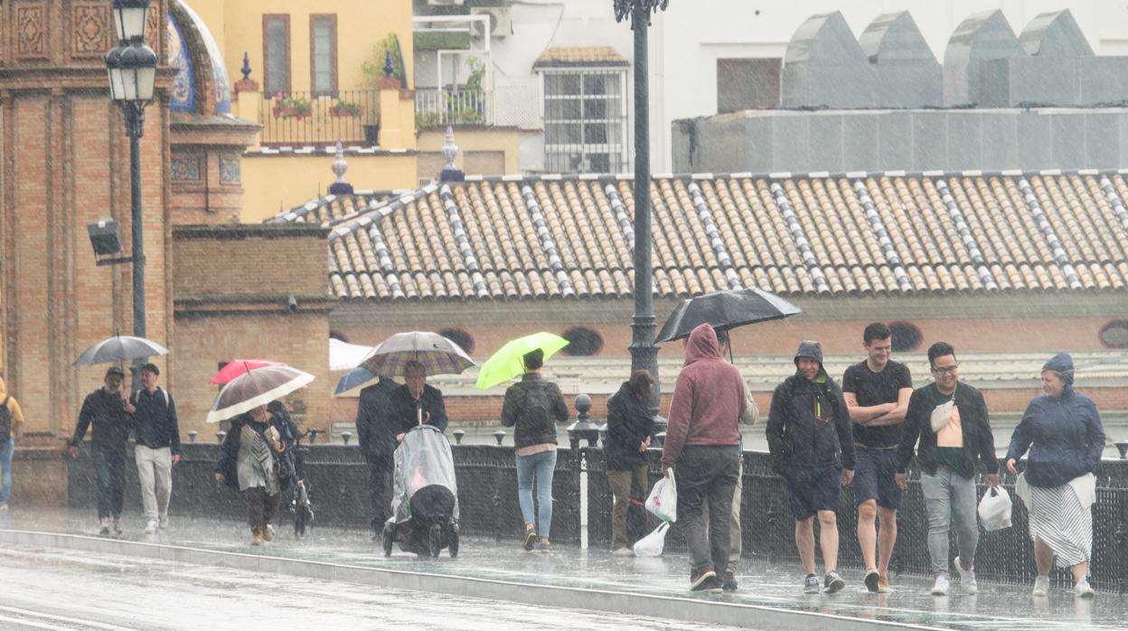 Varias personas pasean por el puente de Triana con paraguas para taparse de la lluvia