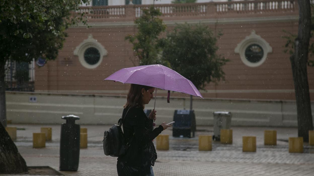 Una mujer camina por la Alameda de Hércules un día de lluvia