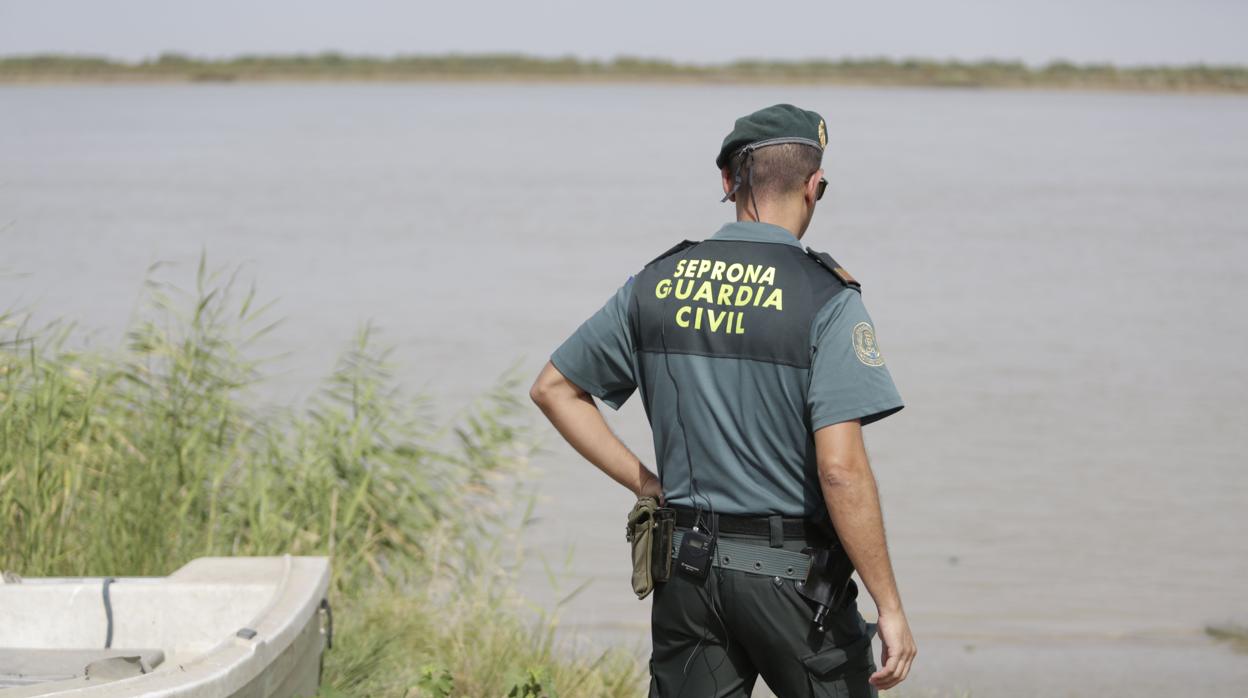 Agente del Seprona de Sevilla actuando en Lebrija