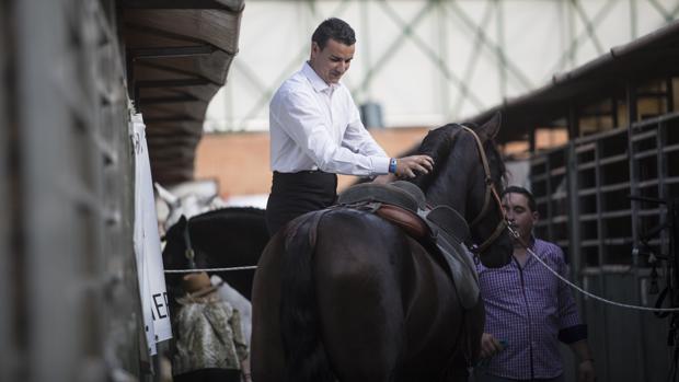 Sicab 2019: El programa de la feria del caballo de Sevilla