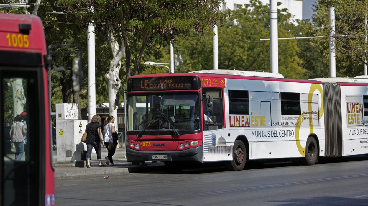 Parada de autobuses de Tussam en el Prado de San Sebastián