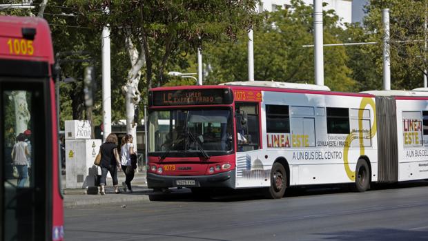 El PP alerta de la no continuidad de 130 trabajadores eventuales en Tussam