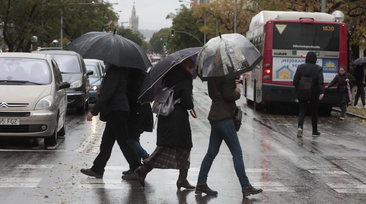 Varios ciudadanos se protegen de la lluvia en Sevilla