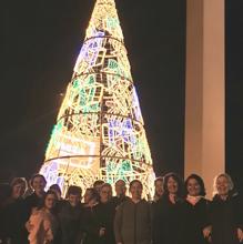 Polígono Sur y Torreblanca adelantan la iluminación navideña de Sevilla con dos árboles de más de 20 metros