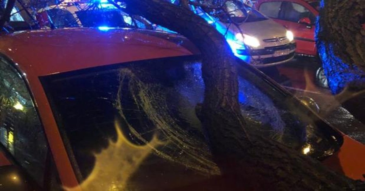 Un árbol caído sobre un coche en Juan Antonio Cavestany