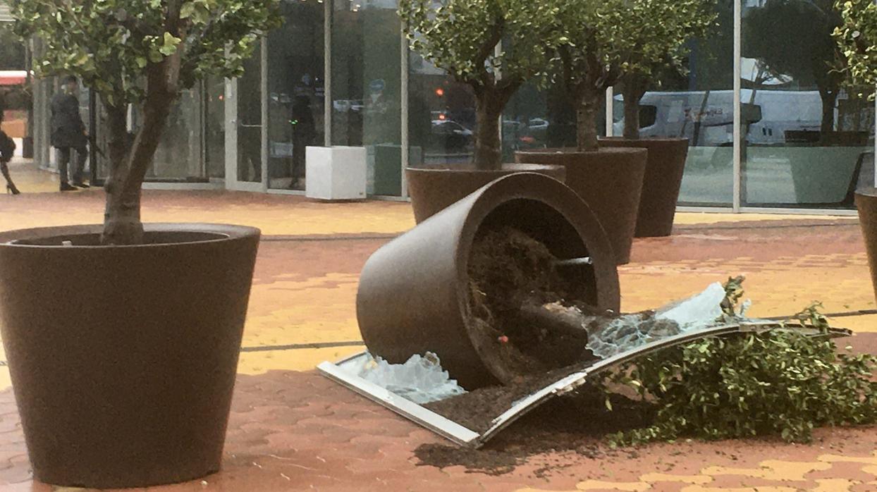 La puerta de cristal ha sido arrastrada por el fuerte viento unos veinte metros y ha acabado rompiéndose al chocar con un macetón