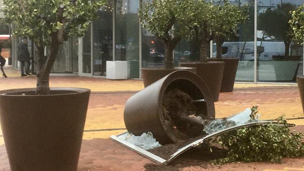 El fuerte viento se lleva por delante una de las puertas de cristal de Torre Sevilla arrastrándola 20 metros