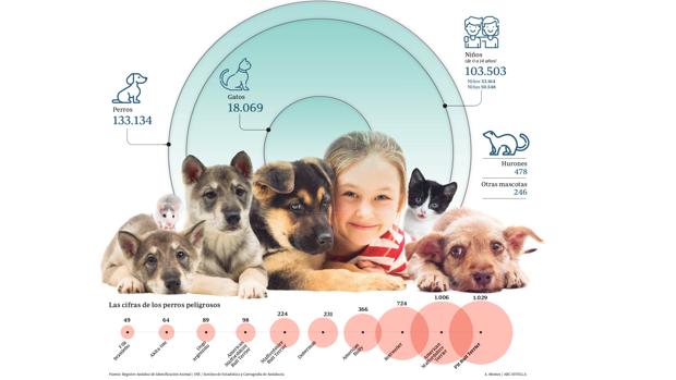 En Sevilla hay un 20 por ciento más de perros que de niños