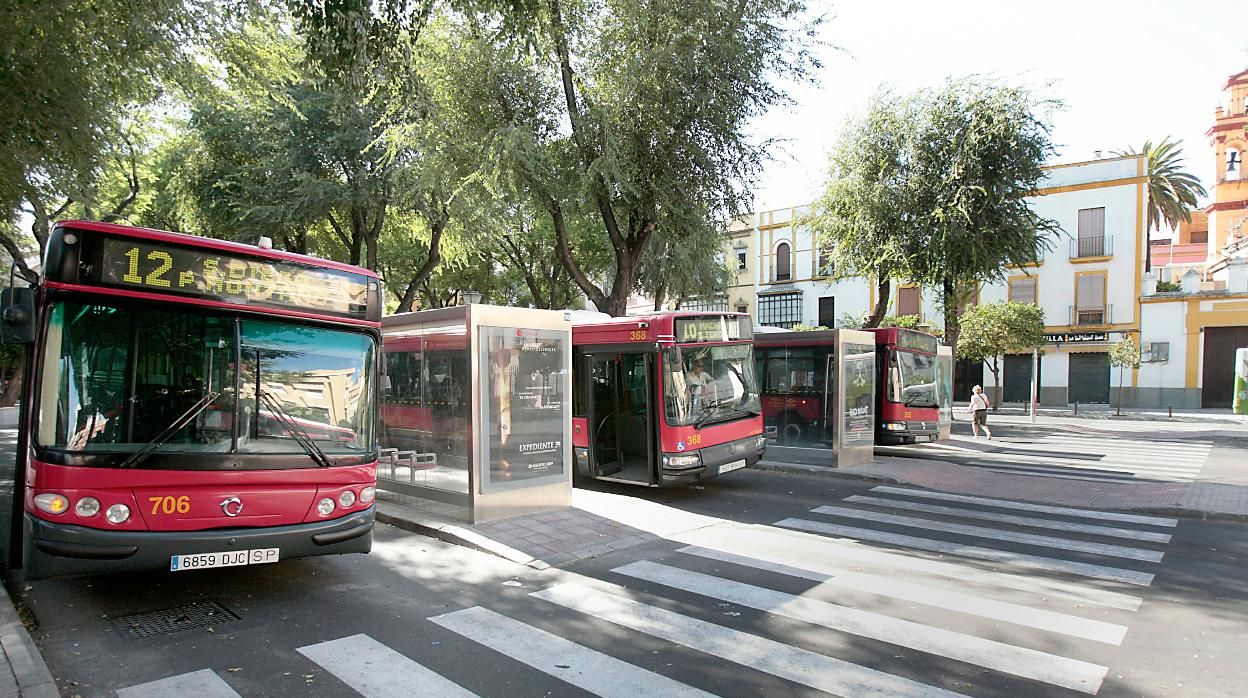 Autobuses urbanos en Sevilla