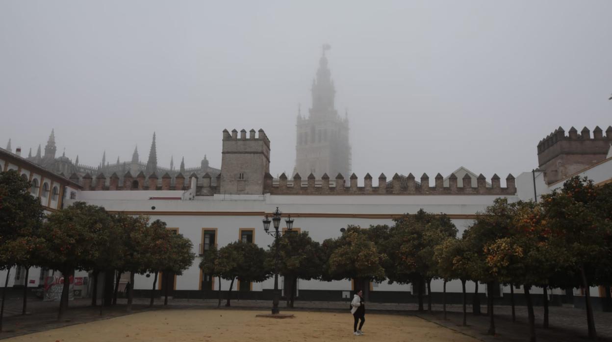 Patio de los Naranjos este lunes