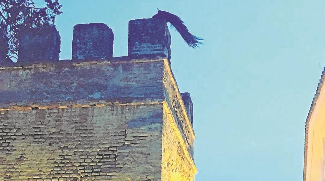 El pavo real retirado en el torreón del Callejón del Agua