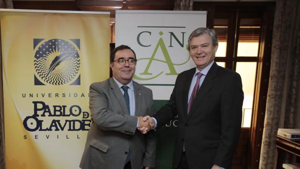 La Univerdad Pablo de Olavide ya tiene una cátedra de Derecho Notarial Internacional