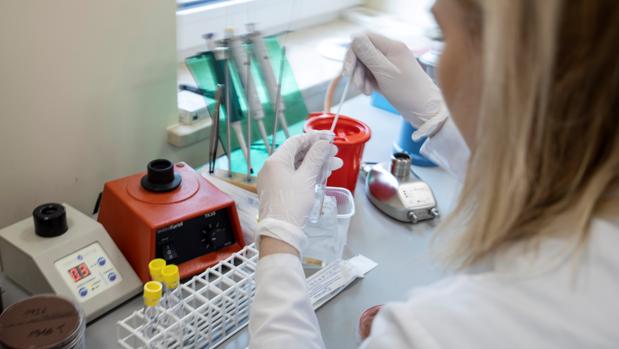 Andalucía no registra ningún nuevo contagio por coronavirus en las últimas horas