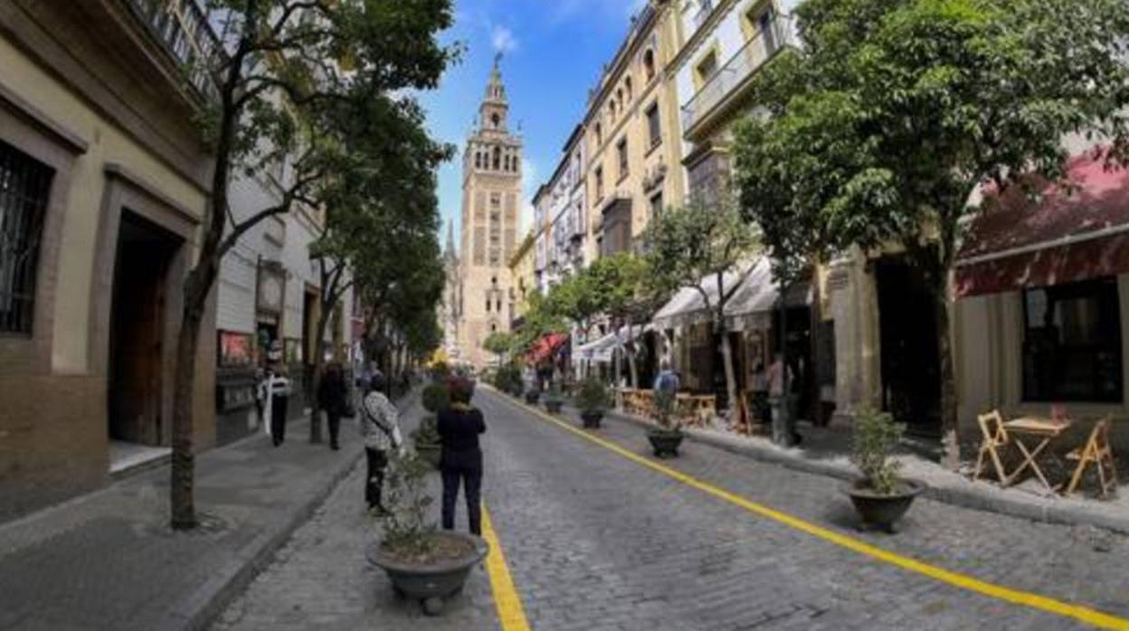 El Ayuntamiento de Sevilla ha adjudicado el nuevo proyecto de la peatonalización de la calle Mateos Gago