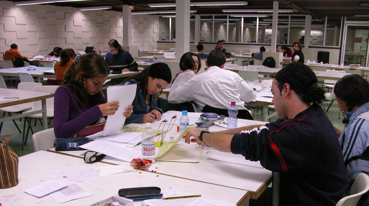 Varios jóvenes estudian en una de las bibliotecas de la Universidad de Sevilla