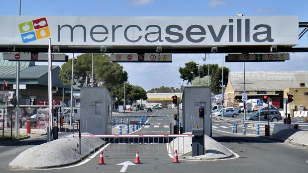 Mercasevilla «garantiza el suministro» a los mercados de abastos y al comercio minorista de Sevilla