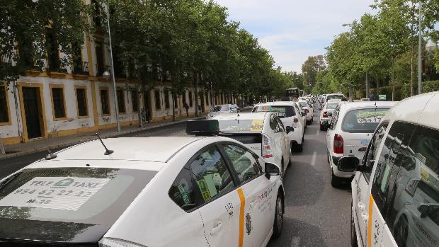 Nuevas normas para el taxi: sólo podrá llevar a un pasajero