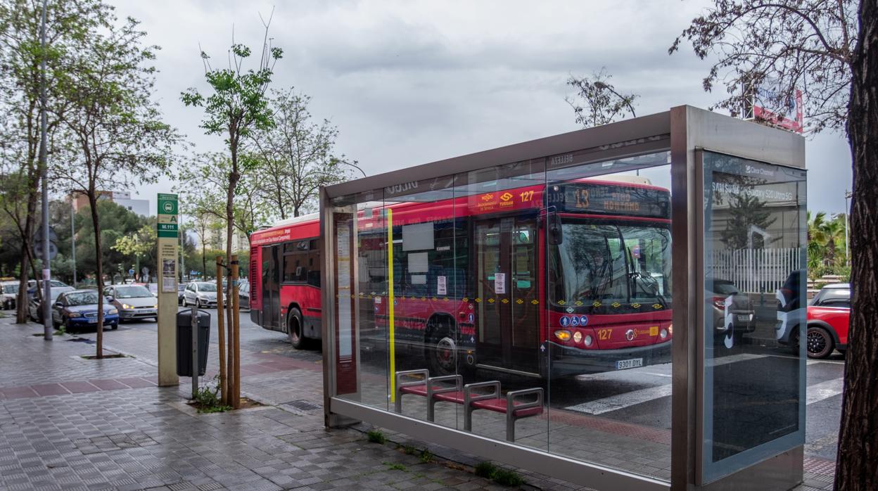 Las paradas de los autobuses de Tussam aparecen casi vacías en las calles de la ciudad