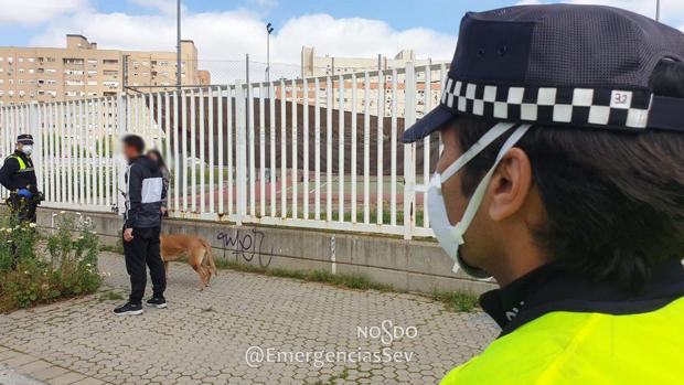 Coronavirus en Sevilla: Denunciado por salir con su perro para visitar a su pareja a dos kilómetros de su vivienda