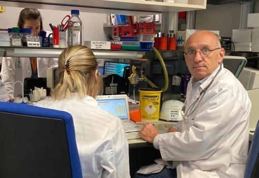 Javier Salvador, jefe de Oncología Médica del Hospital Virgen del Rocío HUVR