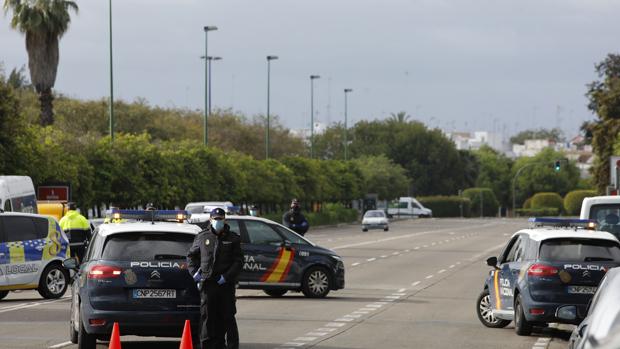 Detenido en Sevilla un tironero con hasta once robos durante el estado de alarma