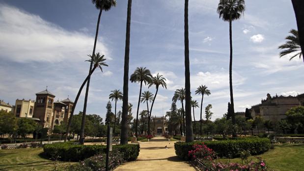 El Ayuntamiento de Sevilla reabrirá los parques este domingo