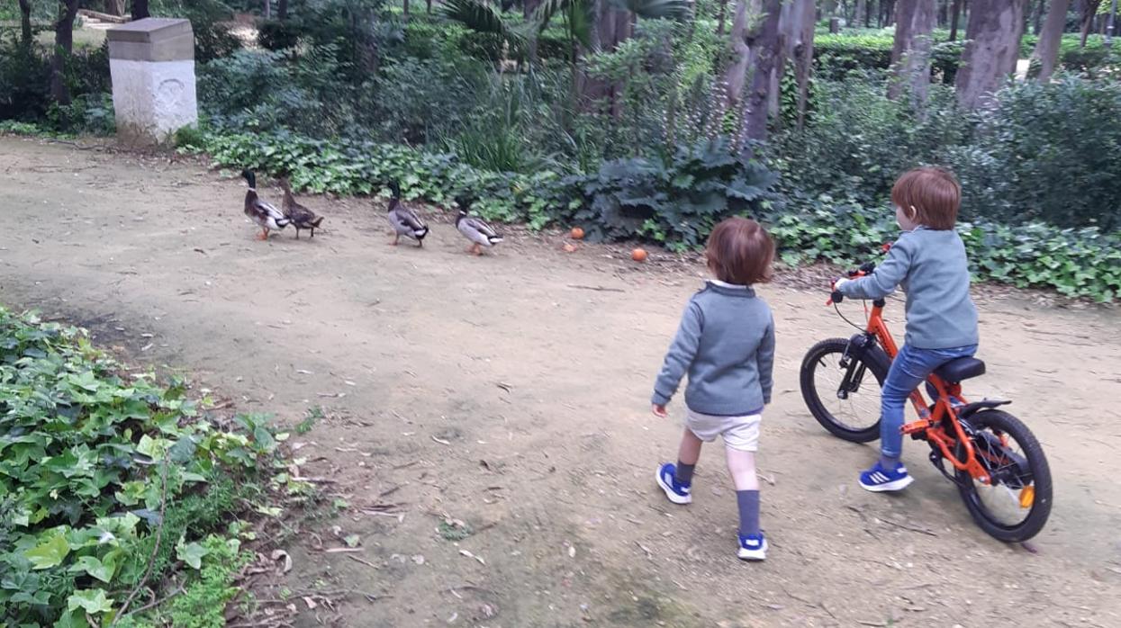 Dos niños en el Parque de María Luisa este domingo