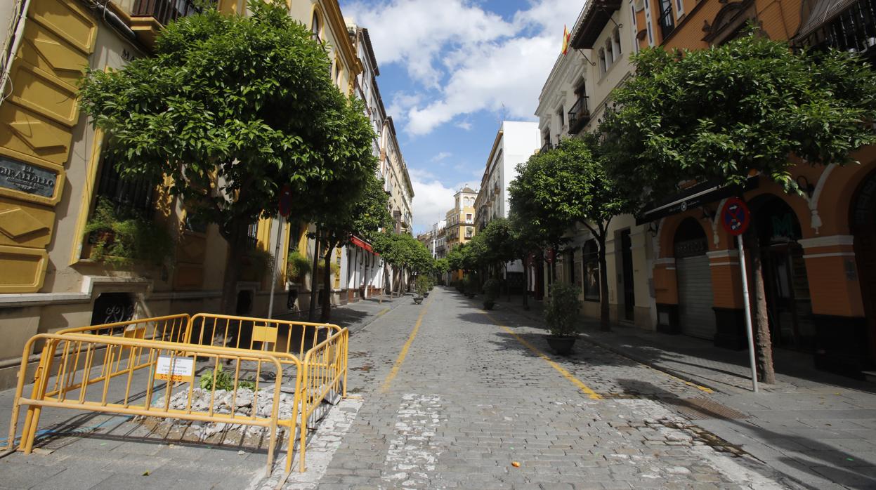 Estado actual de la calle Mateos Gago, prácticamente desierta