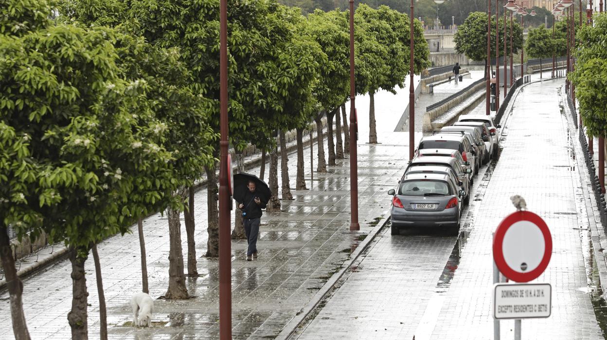 Calle Betis, que este fin de semana no tendrá tráfico matinal