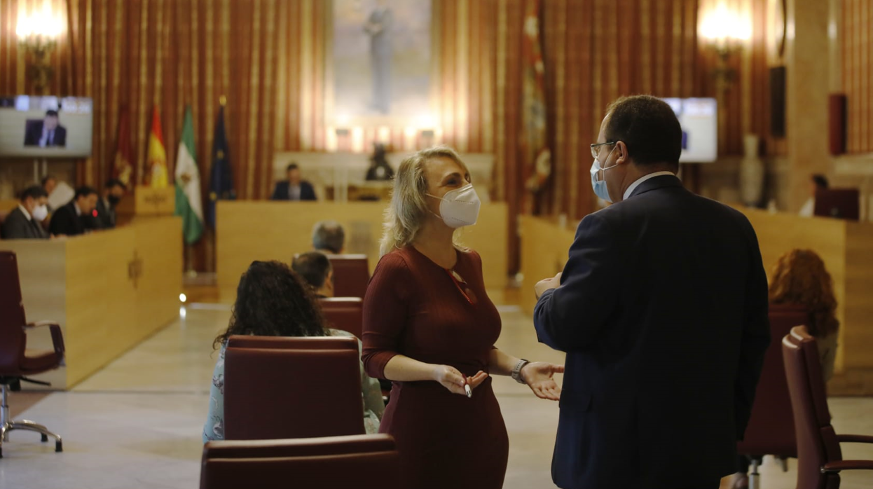 Juan Carlos Cabrera (PSOE) y Eva Oliva (Adelante), en el pleno