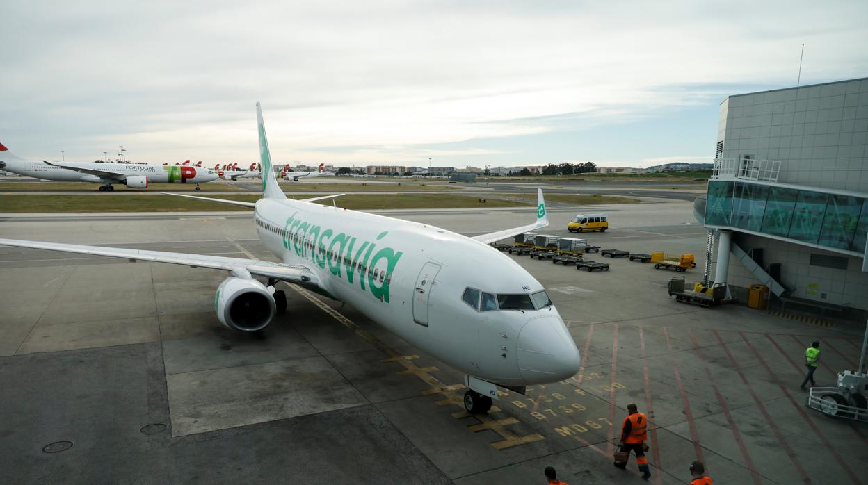 Un avión de la aerolínea de low cost Transavia